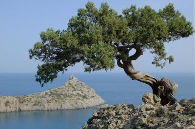 Прикрепленное изображение: н5.jpg